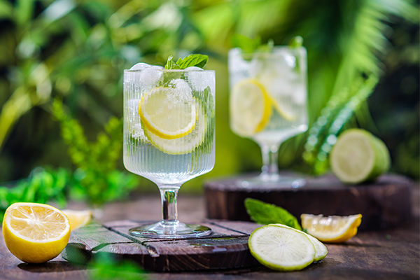 Bar & Hospitality - Cocktail ice